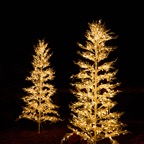 Pat-December-061.jpg