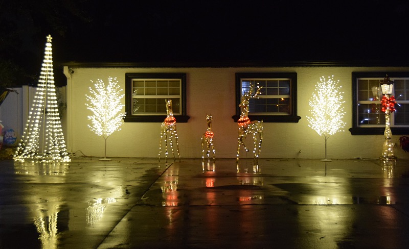 Ron-December-027.jpg