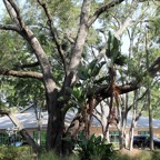 Bob-May-004.jpg