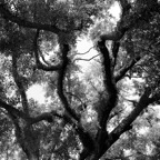 Bob-May-018.jpg