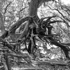 David-May-016-BW.jpg