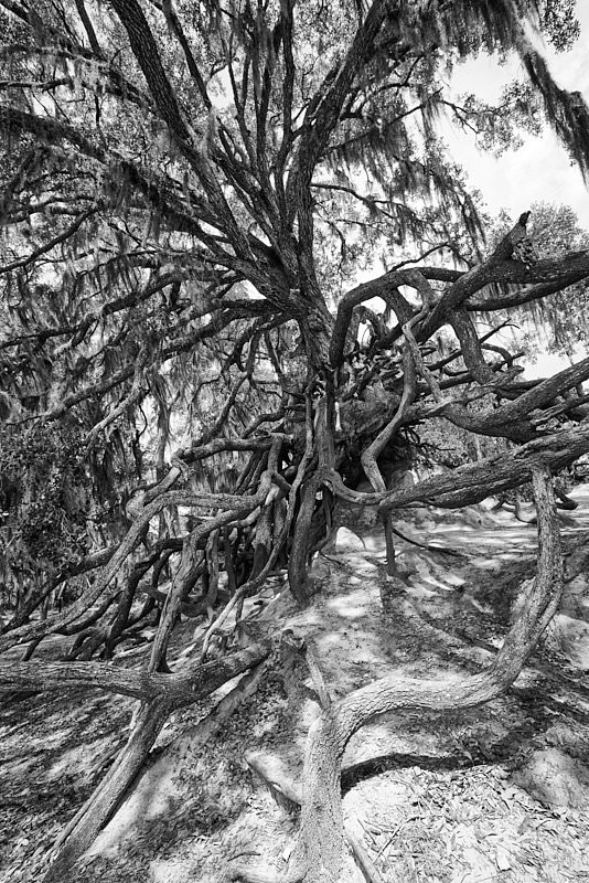 David-May-030-BW.jpg