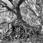 David-May-042-BW.jpg