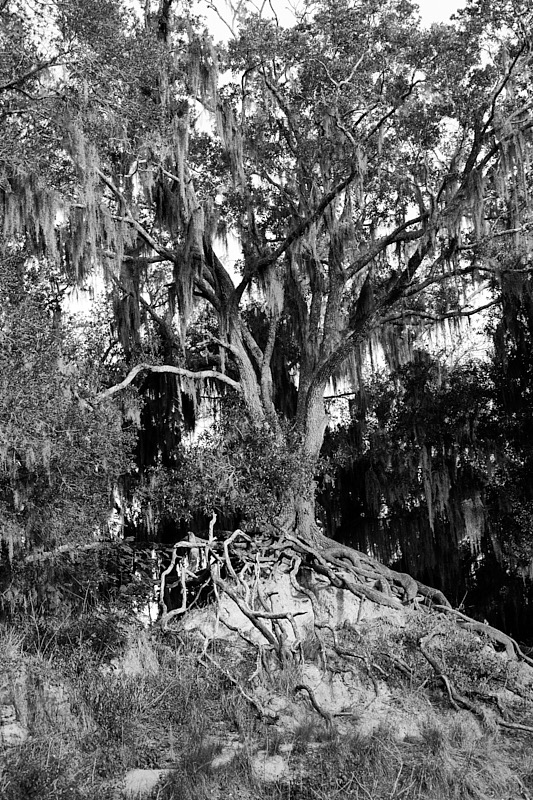 Pat-May-003-BW.jpg