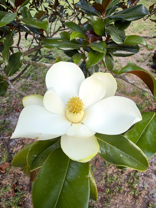 Pat-May-041.jpg
