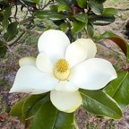 Pat-May-041.jpg