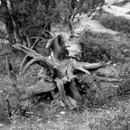 Bob-August-003.jpg