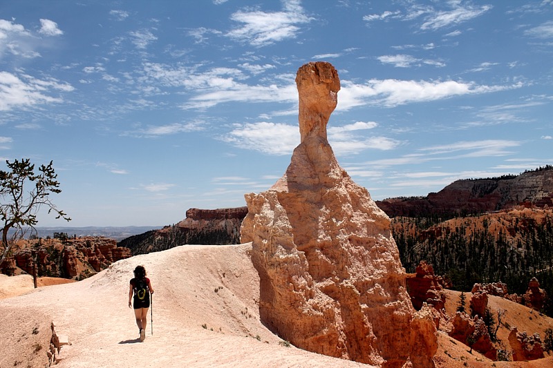 Bob-August-011.jpg