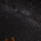 Bob-August-019.jpg