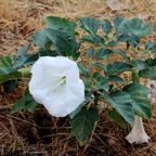 Bob-August-024.jpg