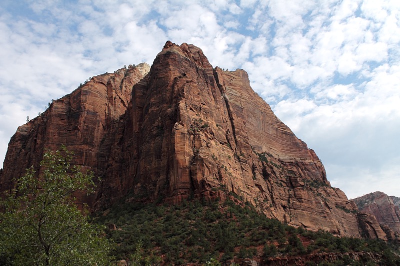 Bob-August-026.jpg