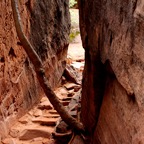 Bob-August-031.jpg