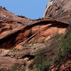 Bob-August-035.jpg