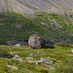 David-August-043.jpg
