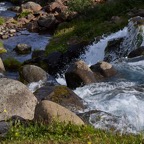 Pat-August-038.jpg