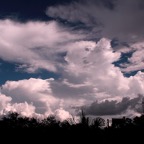 Bob-September-025.jpg